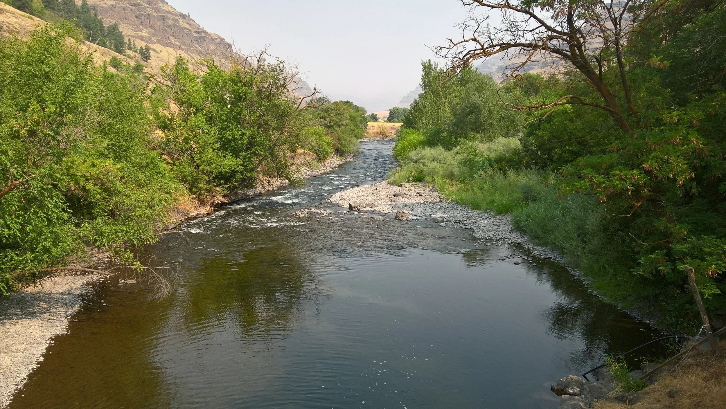 WP_20180823_10_15_00_Pro.jpg