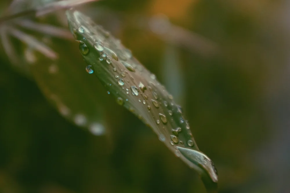 2019-08-11 09.26.13 1.jpg