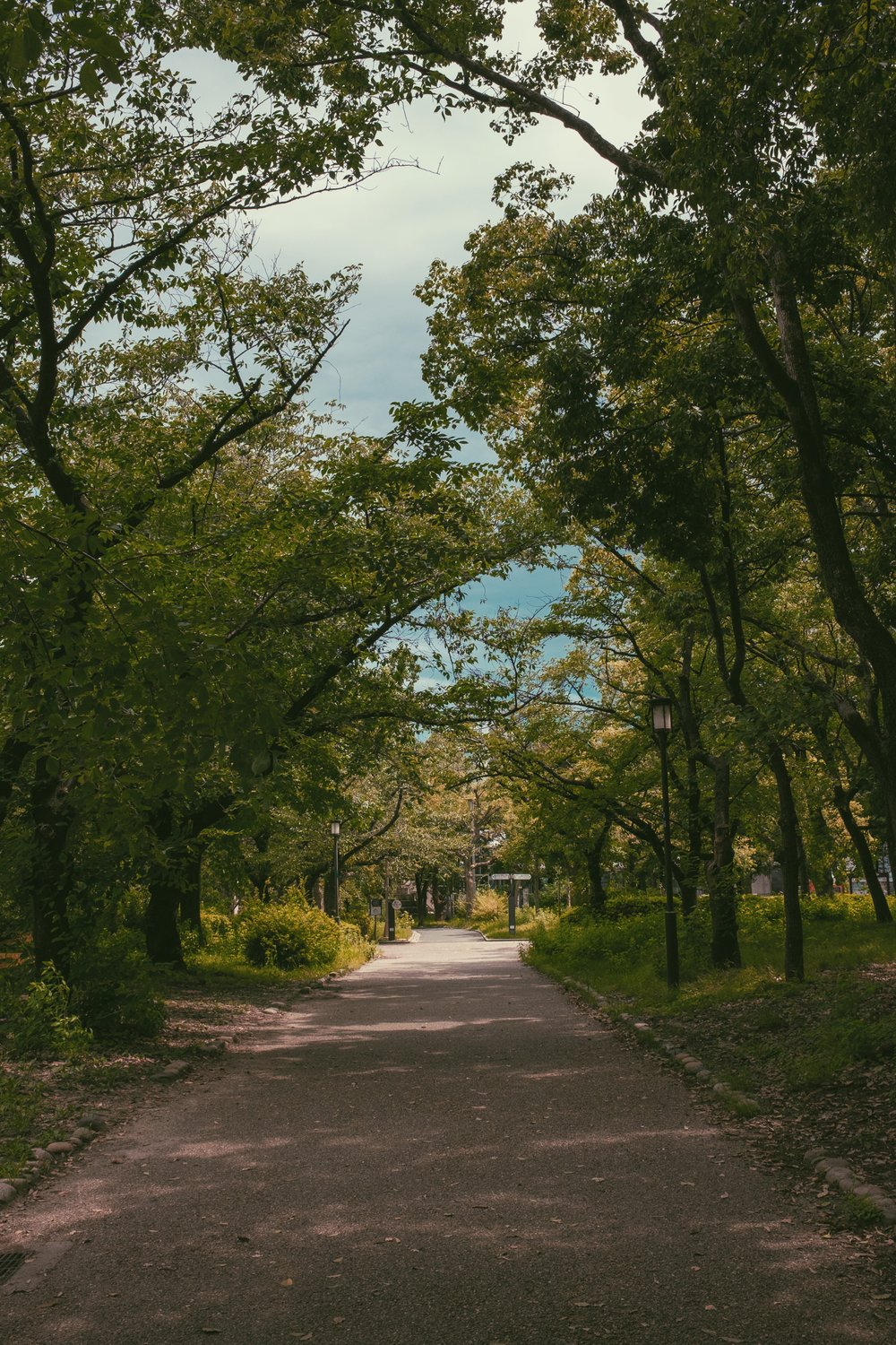 2019-08-21 12.29.49 1.jpg