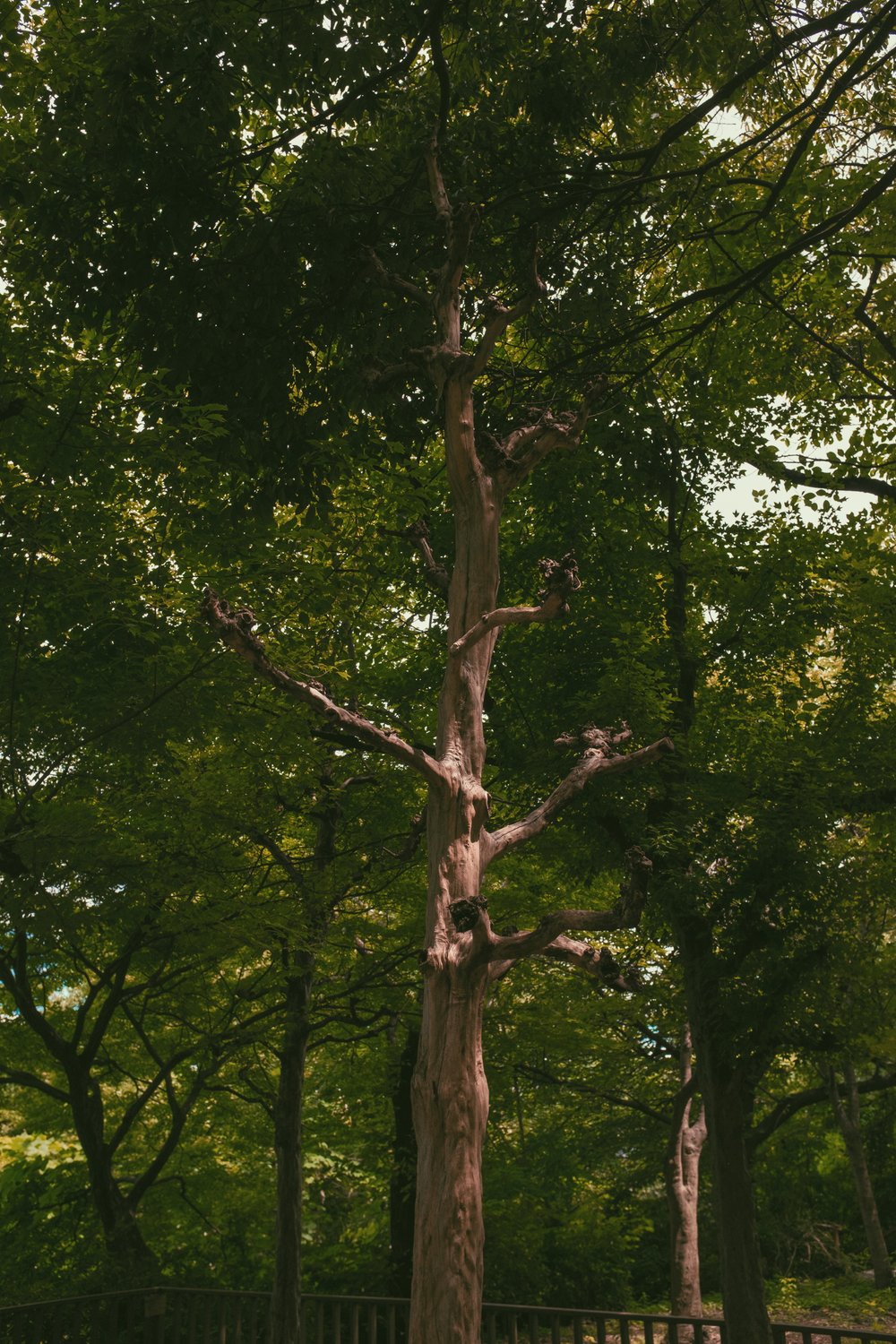 2019-08-21 12.29.37 1.jpg