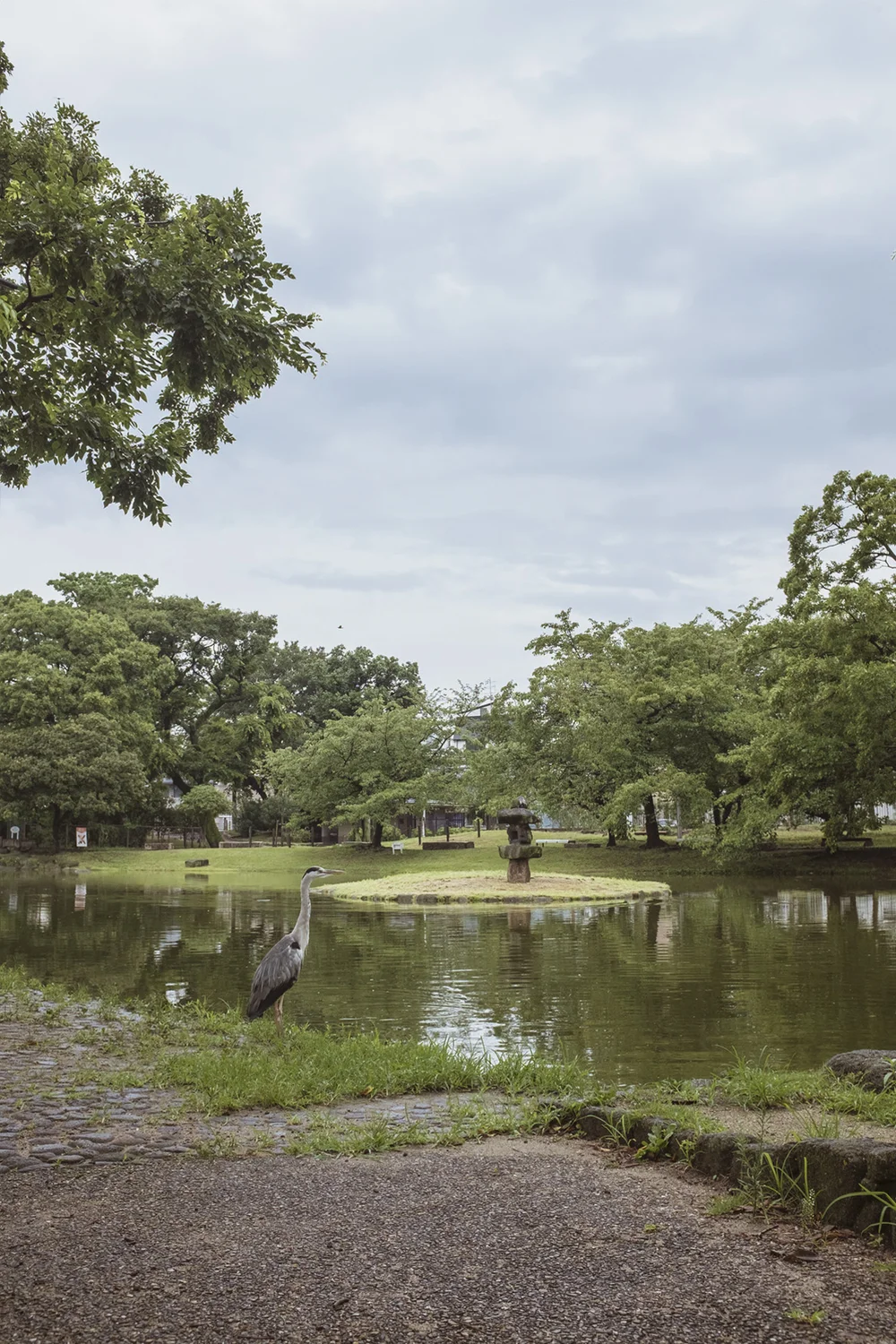 2019-07-28 08.17.44 1parque.jpg