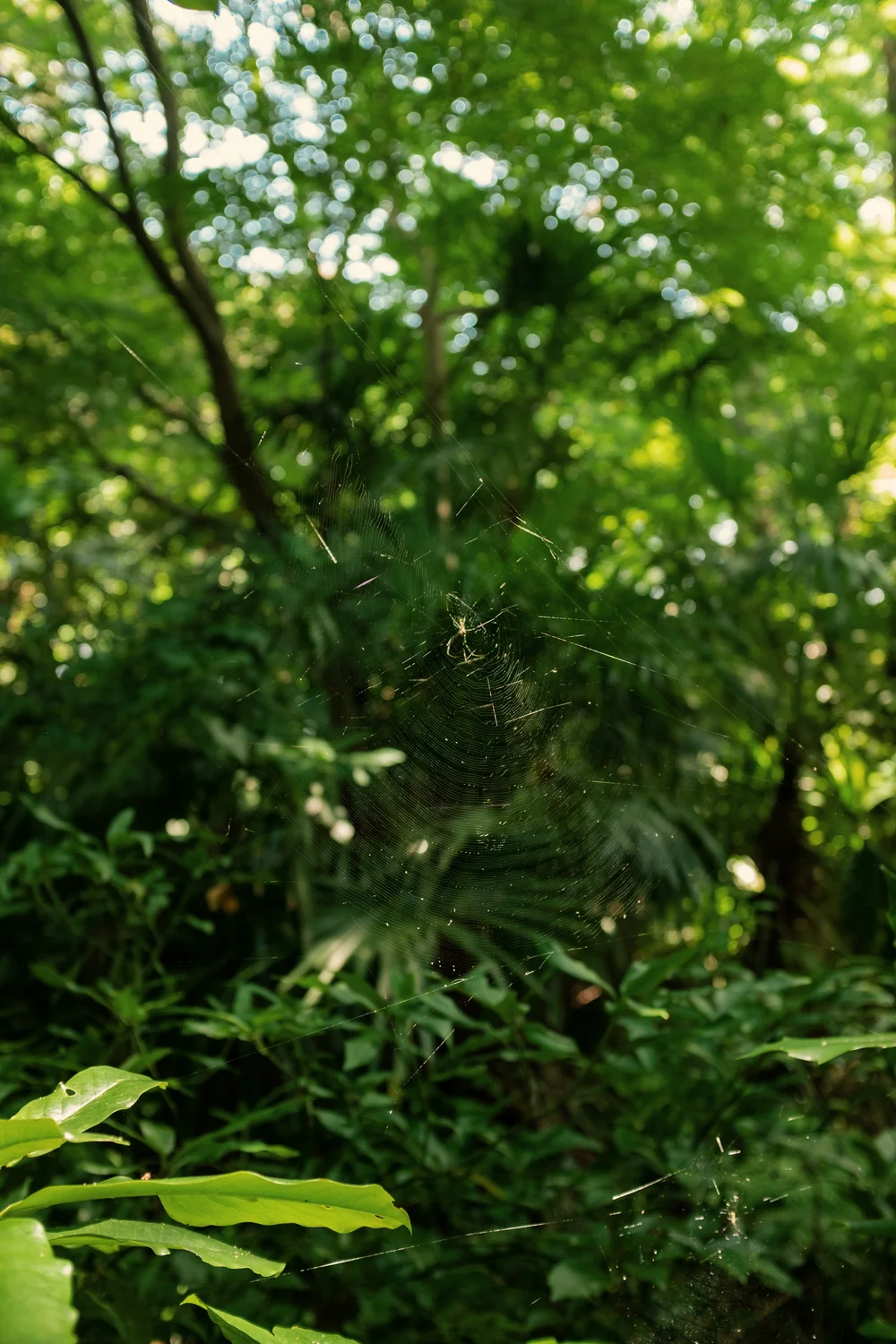 2019-08-27 09.16.18 1.jpg