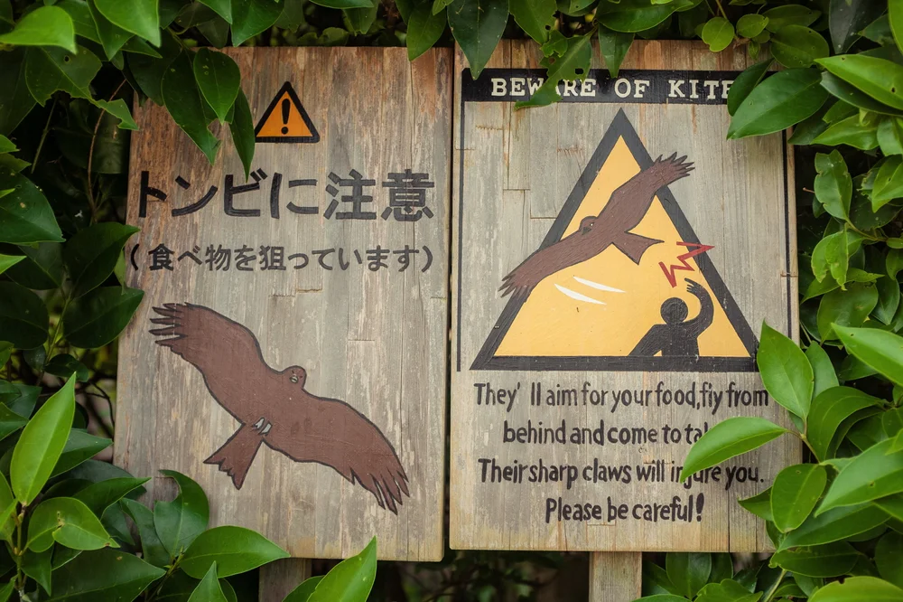 2019-10-02 09.30.41 1.jpg