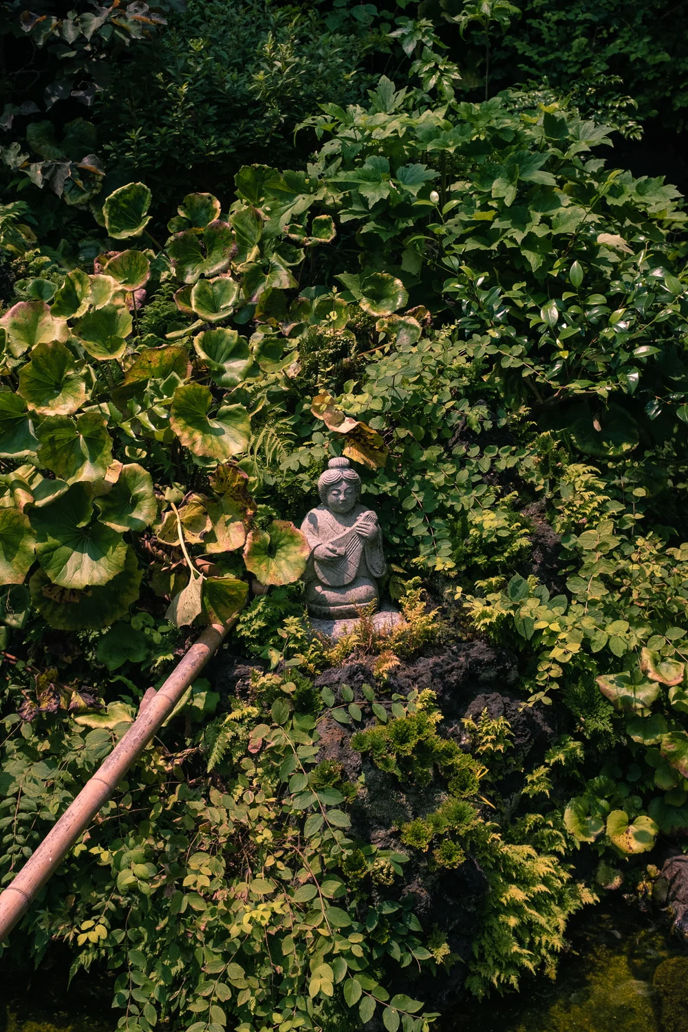 2019-10-02 09.30.49 1.jpg