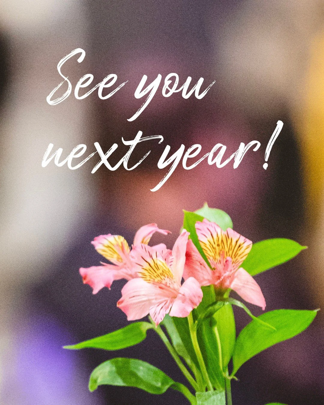 What a weekend! Thank you to everyone who attended the 10th edition @ArtNowFineArtFair in Regina, and congratulations on your new artwork!⁠
⁠
A huge thank you to our incredible exhibitors, sponsors and partners, and our many volunteers - we couldn't 