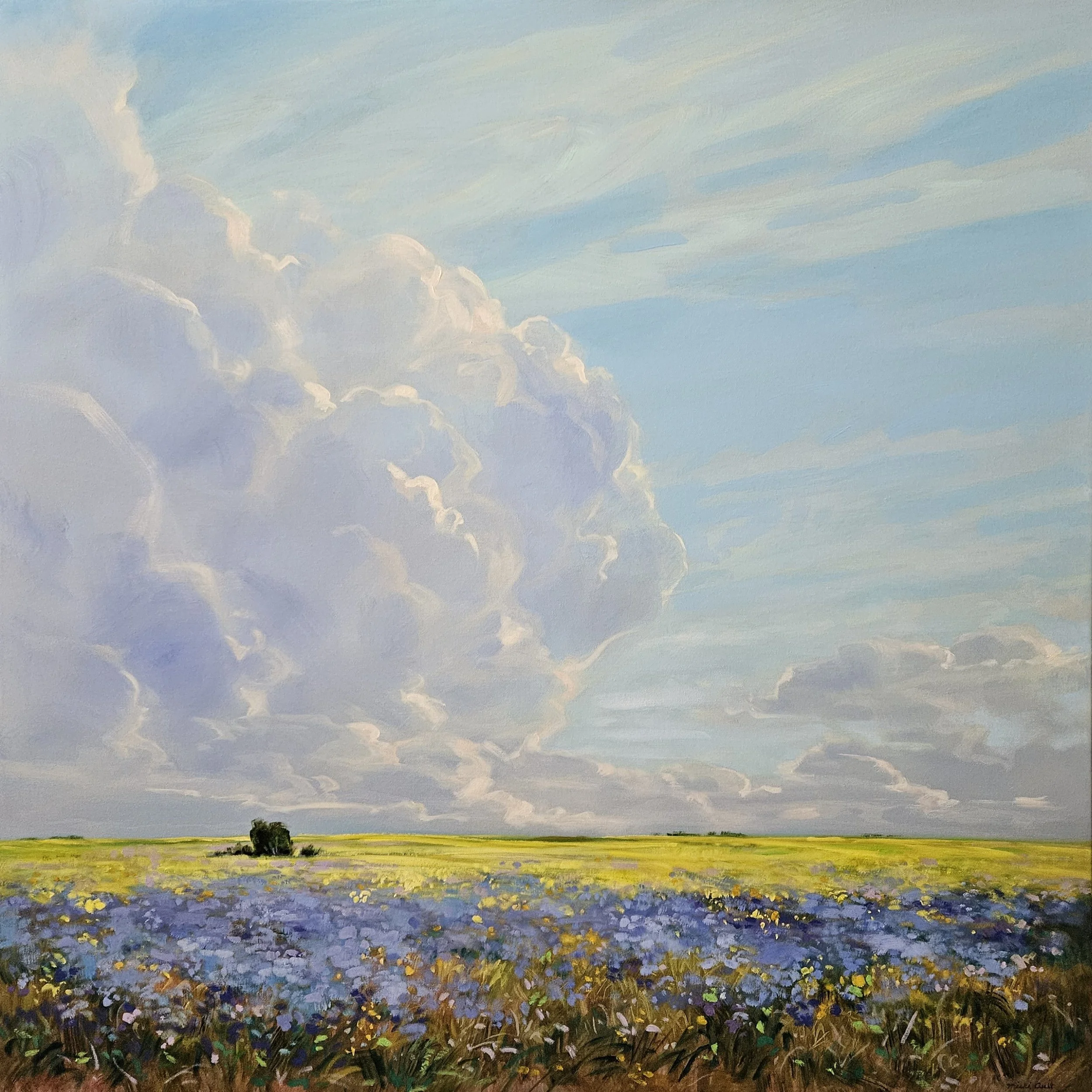 Assiniboia Gallery