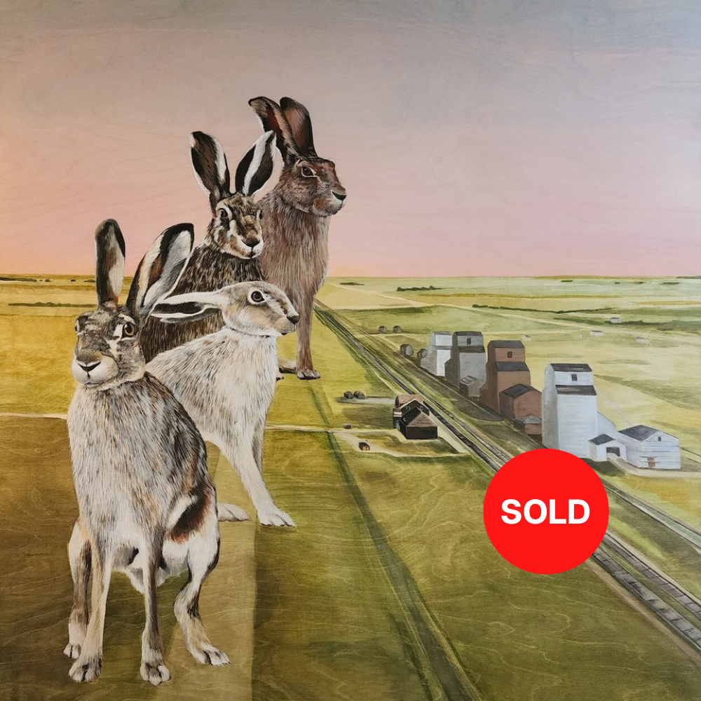 Belinda Harrow | Railway Street