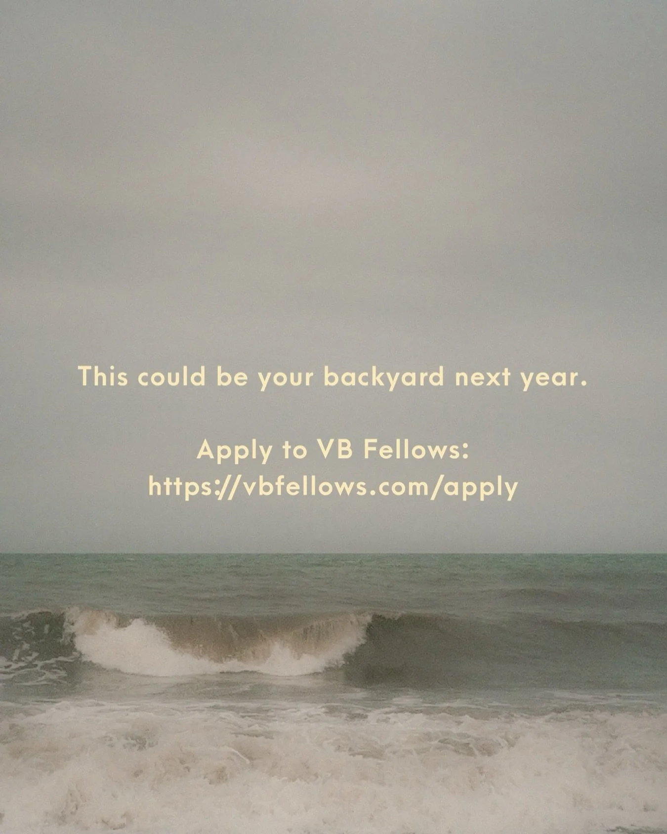 We are accepting applicants for our 2027-2028 class of VB Fellows! Come join the fam😎🌊☀️

Application link in bio (www.vbfellows.com/apply)