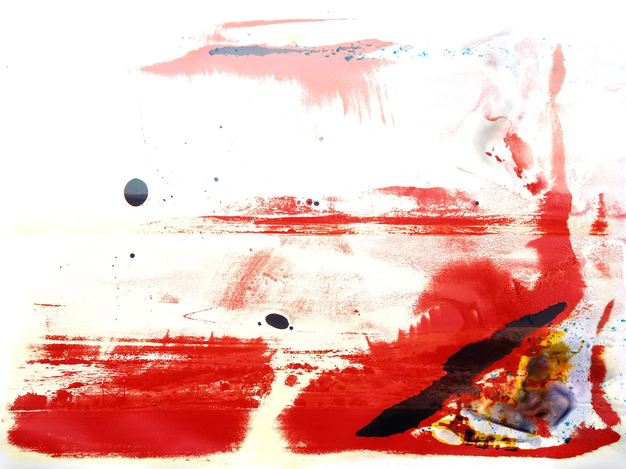 Yuba Lake, CA 2 2011 chromogenic print soaked in Yuba Lake water 30 x 40 inches