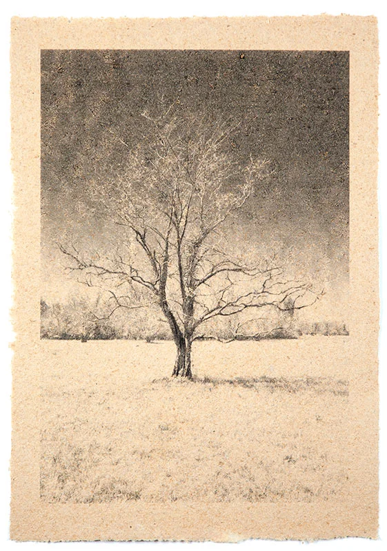Tree 3 2009 - 2011 pigmented handmade paper made from wood gathered from George Bush Park, Houston, TX 19 x 13 inches