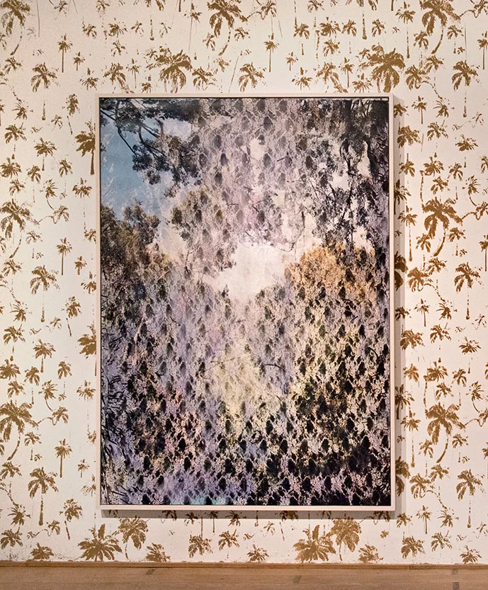More Pictures From Wai’anae 2015 Galerie Vedovi & Galerie Praz-Delavallade