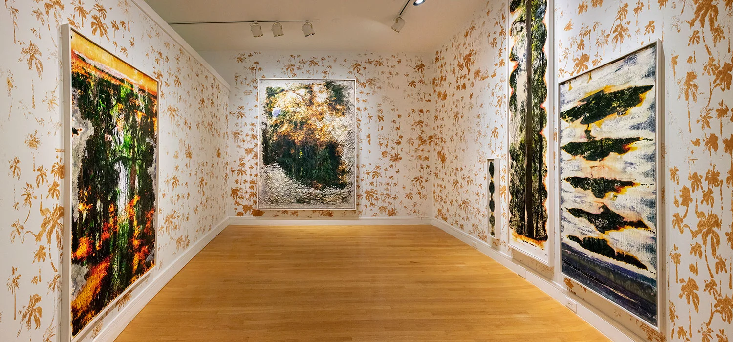 Material Matters: Water, Pigment, Light 2016 Van Every/Smith Gallery Davidson College