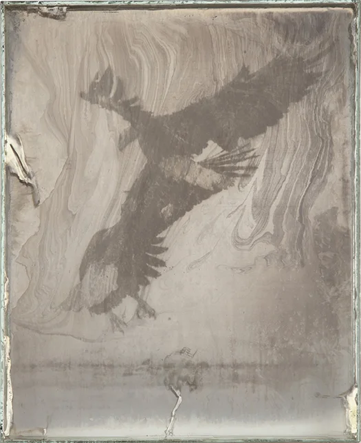 Eagle 9 2017-2019 Daguerreotypes made from American Silver Eagle coins and glass 10 x 8 x 1 in.