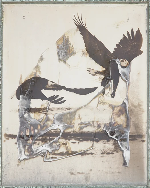Eagle 53 2017-2019 Daguerreotypes made from American Silver Eagle coins and glass 10 x 8 x 1 in.