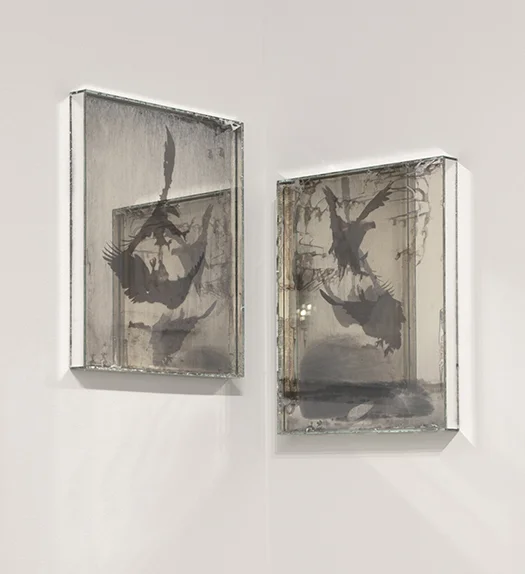 “Rocks and Eagles” March 2019 - February 2020 The Newark Museum, Newark, NJ