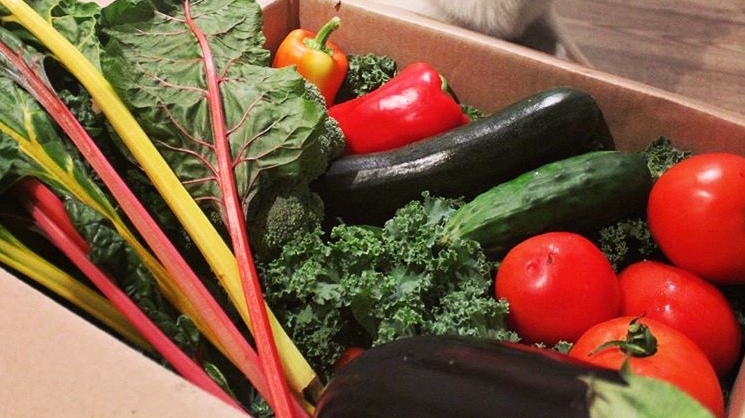 Do Vegetables Really Make You Live Longer?