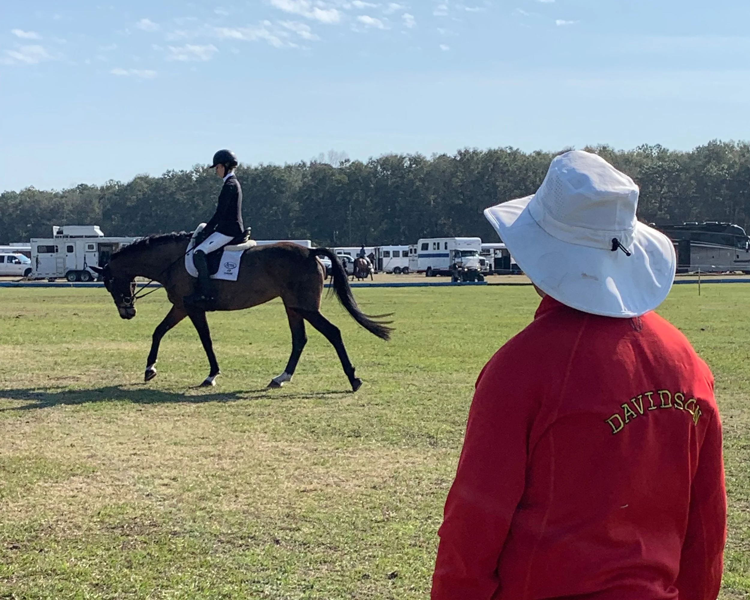 bdj-equestrian-coaching-IMG_6831.jpg