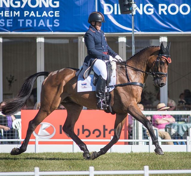 Carlevo put in a very good test to have us in ninth place on a 27.2 after dressage. He missed a chance to run here last year due to a minor injury so I am excited to have him here. Park Trader sits in 24th on 29.2. If you&rsquo;re supporting us state