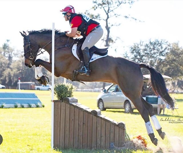 It was a great weekend at Rocking Horse Winter I. Many of the horses got to stretch their legs for the first time since the fall season with a few top placings and great runs. It was also great to have many of our friends and owners there to particip