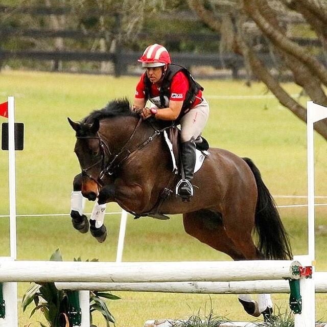 Up On Stage - owned by Wendy Lewis at Grand Oaks a few weeks ago. I&rsquo;ve enjoyed the ride on this horse while Wendy&rsquo;s shoulder heals.
Photo: @madrenphotography