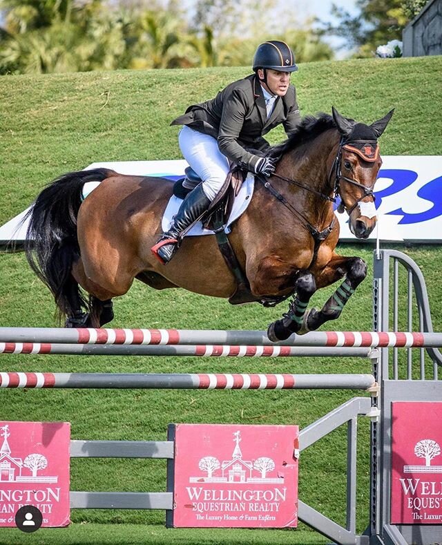Carlevo on his way to finishing 2nd in the Wellington showcase. #teamBDJ
Photo: @goeventing