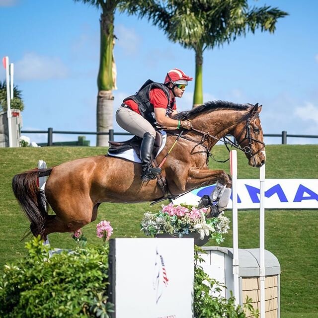 Erroll Gobey at last weekends Eventing Showcase 💥
Photo: @tillyberendt
#errollgobey #teambdj #goeventing