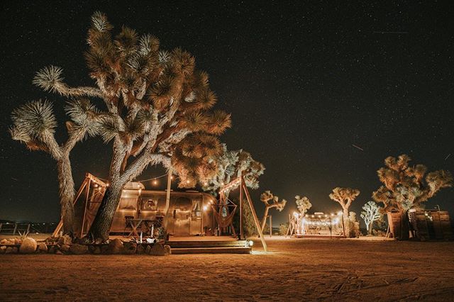 stargazing summer evenings makes us dream 💫🌵 📷 @kingstonphoto