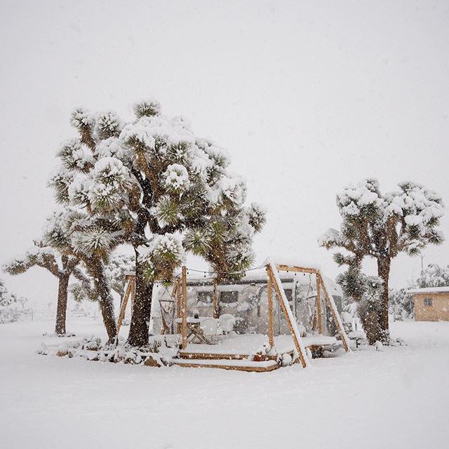 weather has the ability to move our senses like no other. last week the high desert turned into a winter wonderland snow capping every Joshua Tree and Airstream on the property ❄️ ☃️
📸@zeekyan &amp; crew @chrisroams @mlbourne @kristinelliss @philngy