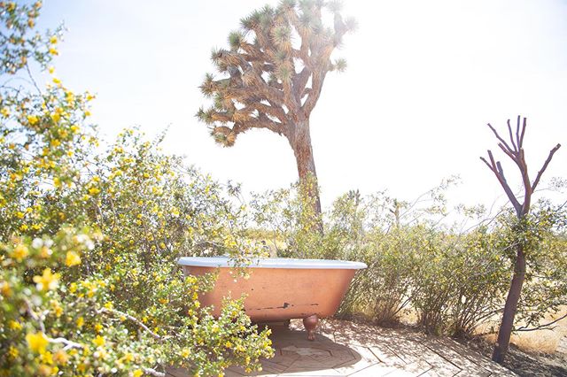 It&rsquo;s outdoor tub season 🛁 soak among the creosote in the crisp desert air while stargazing💫
.
2 separate private cast iron tubs on the property .
📷 @pixellabrats