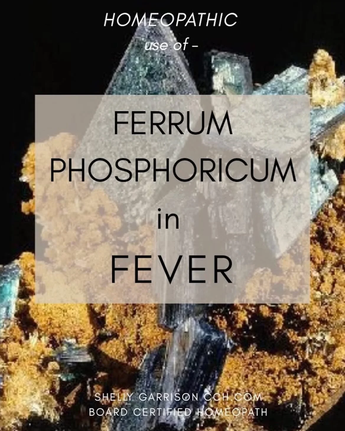 FERRUM PHOSPHORICUM 

.

Ferrum phosphoricum (ferrum phos)  is a homeopathic cell salt made from iron phosphate. 

.

Its role in the body is to build and strengthen the red blood cells and their ability to carry oxygen. 

.

During a fever this reme