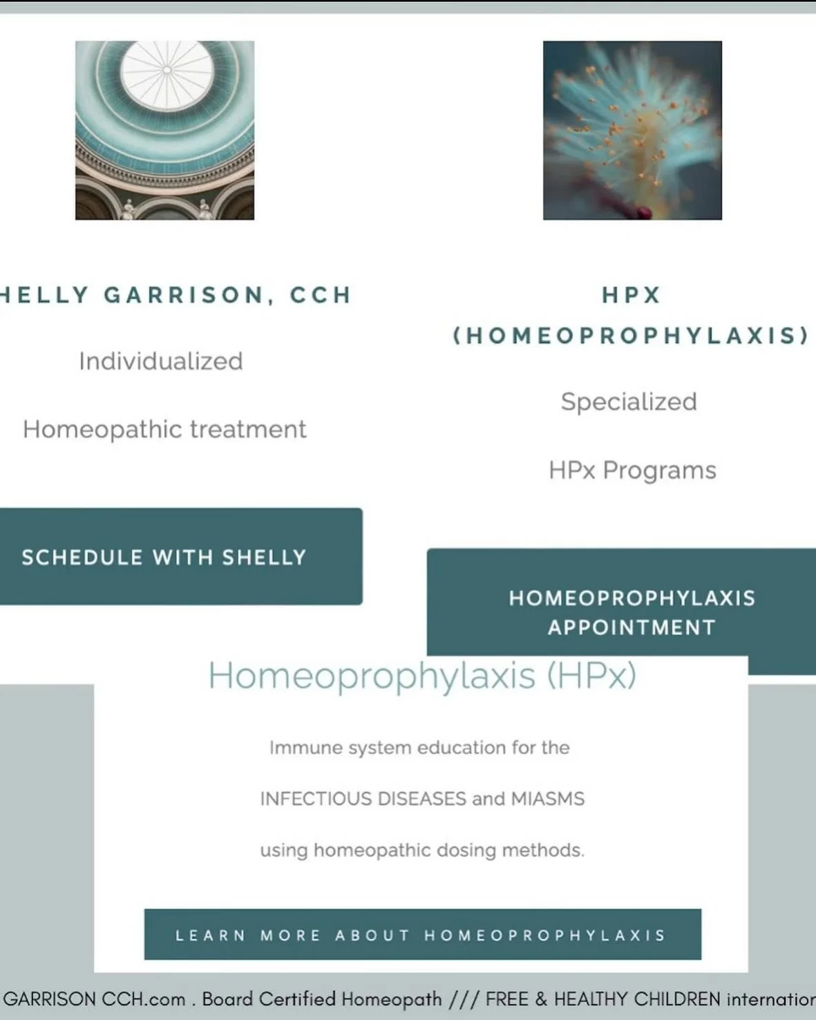 Hi All -

Shelly here. Introducing myself for those new. I am a certified classical homeopath with additional training in CEASE therapy (tautopathy) or homeopathic detox prescribing  and case management, Human Chemistry methods, and  Homeoprophylaxis