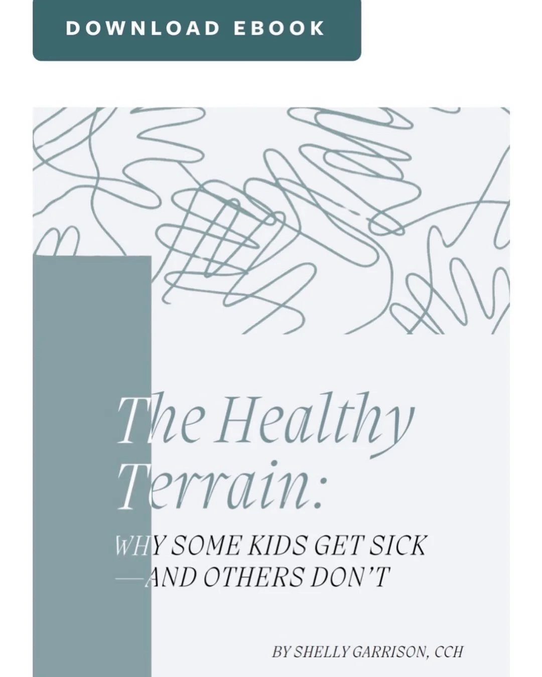 Germ theory vs. Terrain theory. 
The story of Dr. John Snow, Louis Pasteur, Robert Koch (Koch&rsquo;s Postulates) and Claude Bernard and Antoine Bechamp.  The story and insights. xx
.

https://www.shellygarrisoncch.com/ebook-blog
.
.