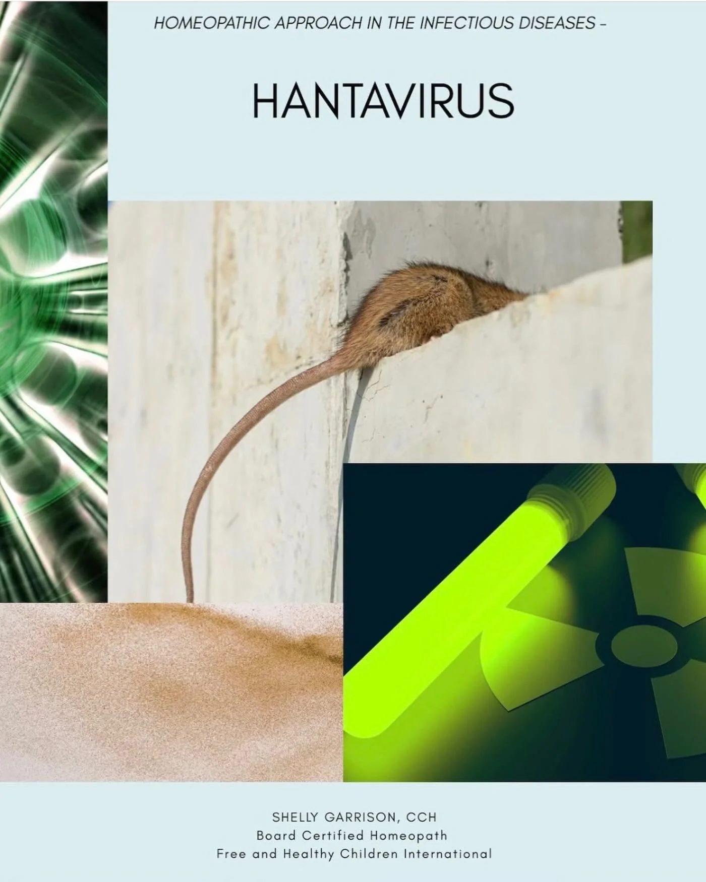 The WHO reports Hantavirus is now 'under control' following reported cases and deaths earlier this month. 

.

There are several abstract points to note regarding this 'outbreak' but let's skip that for now and do an exercise in homeopathic prescribi