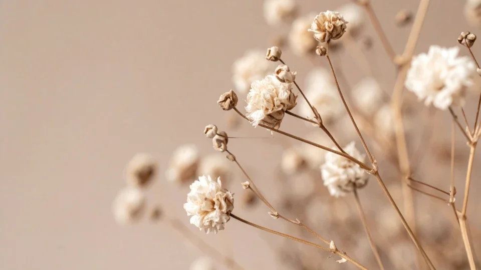What should you do when fever or symptoms appear?