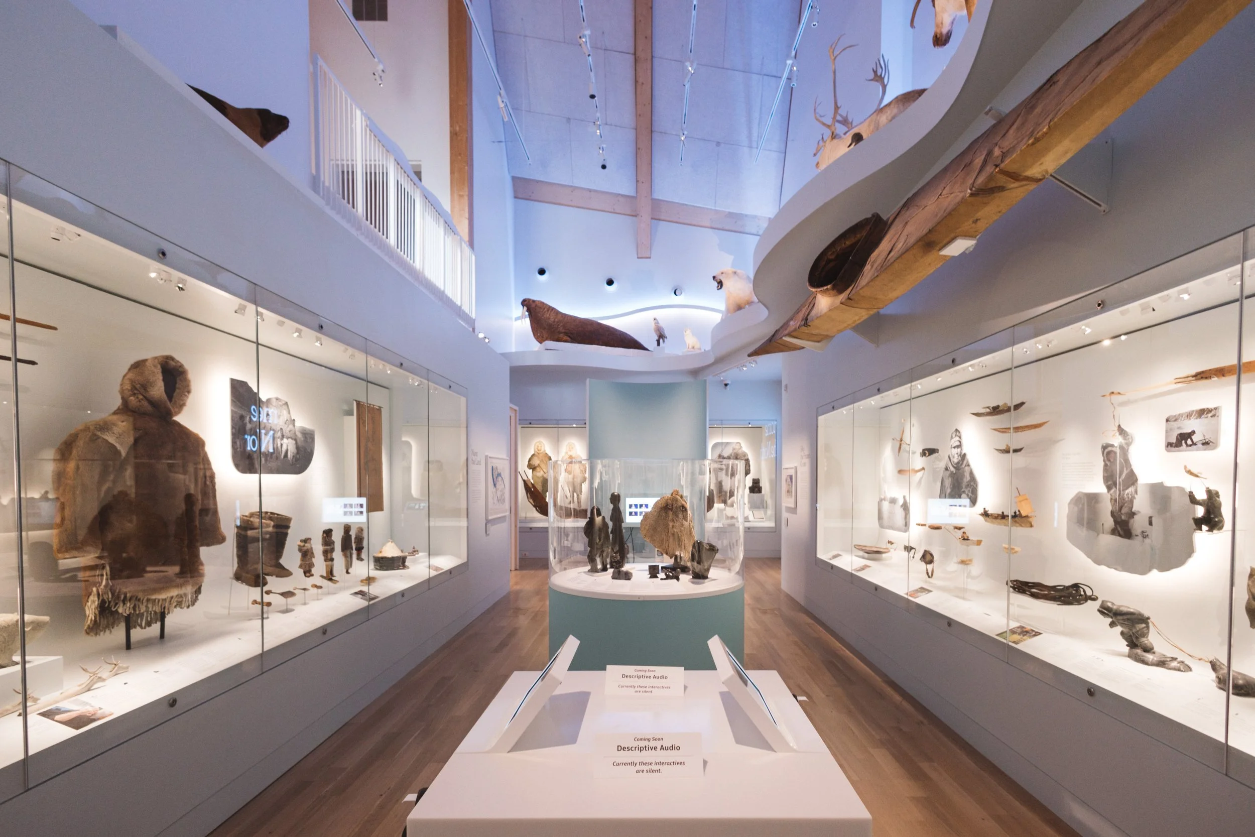 Peary-MacMillan Arctic Museum 6:14:23 4N1A8376.jpg