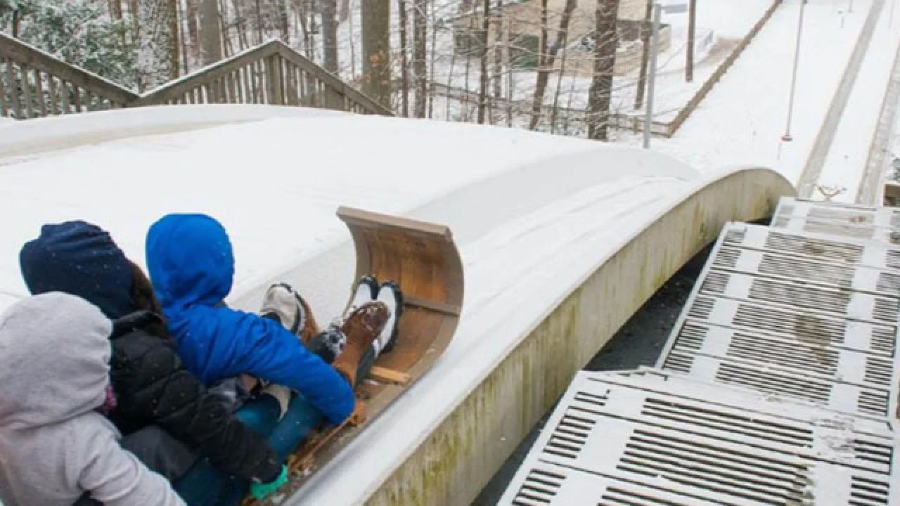 Family Tobogganing and Potluck