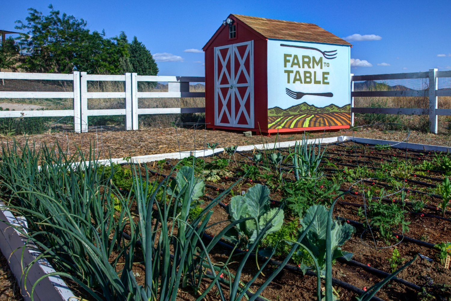 Farm to Table – Dorn Homes