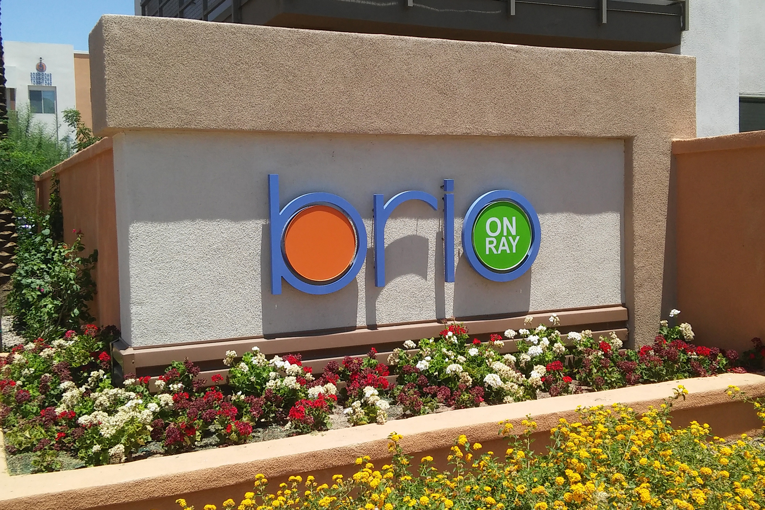 Brio on Ray