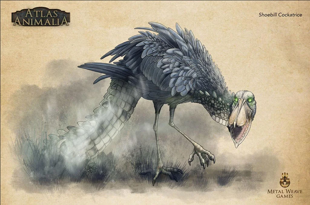 SarahDahlinger_ShoebillCockatrice_001.jpg
