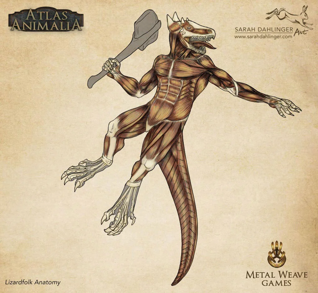 SarahDahlinger_Anatomy_Lizardfolk_001.jpg
