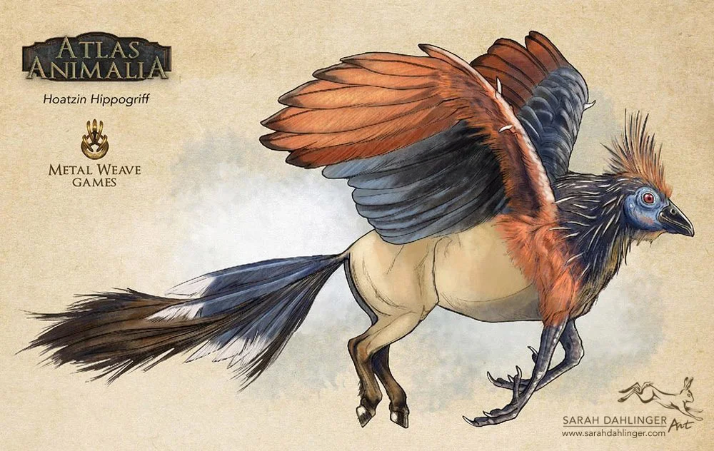 SarahDahlinger_HoatzinHippogriff_001.jpg
