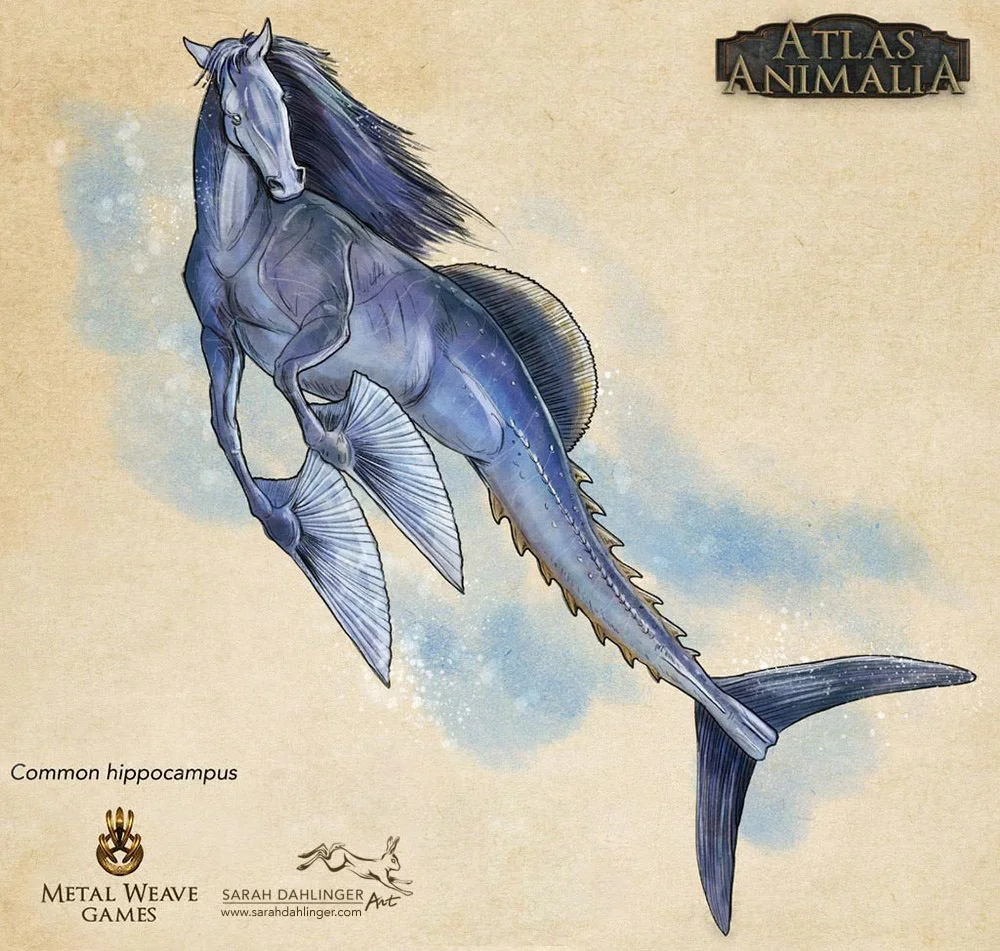 SarahDahlinger_CommonHippocampus.jpg