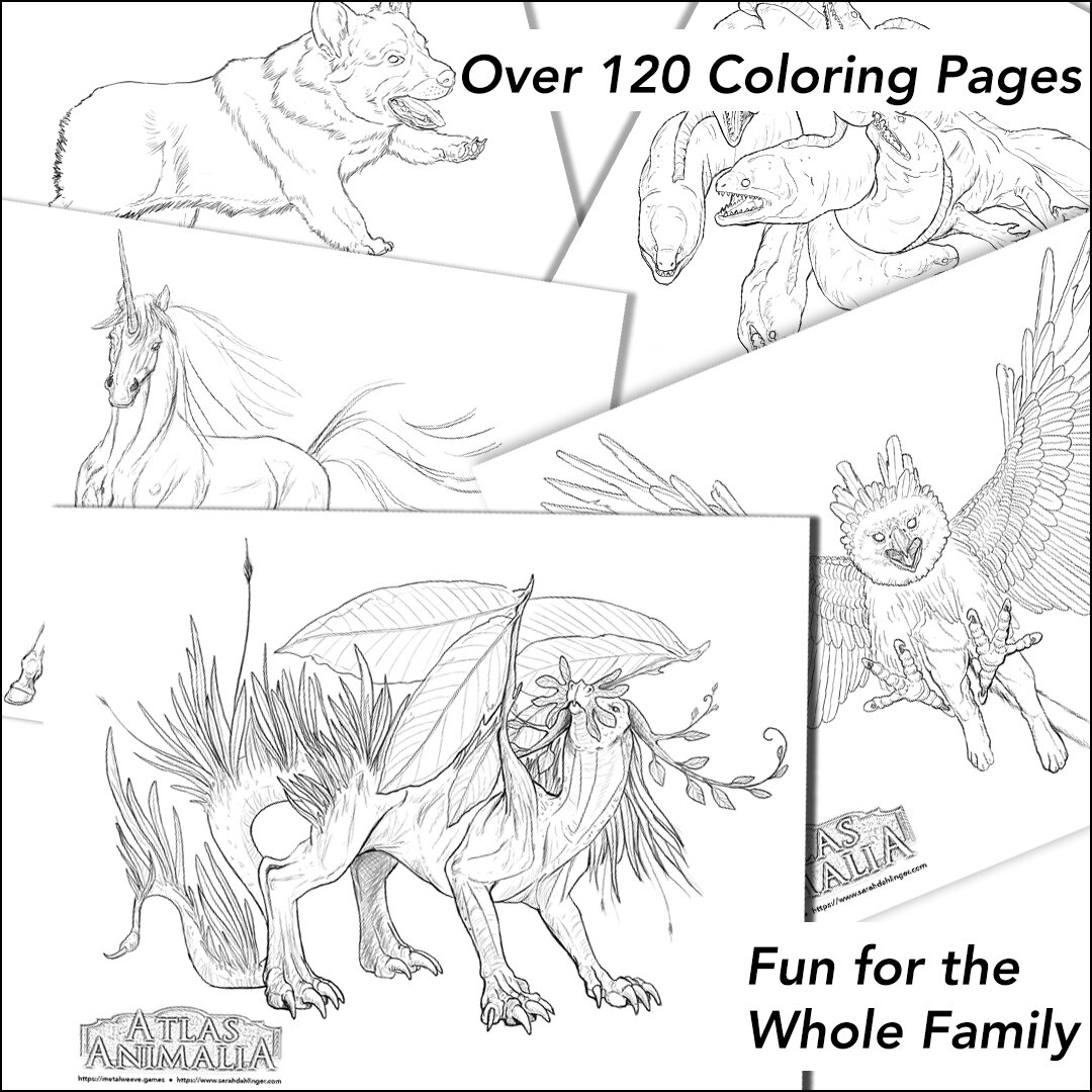 ColoringBookPages_Info2.jpg