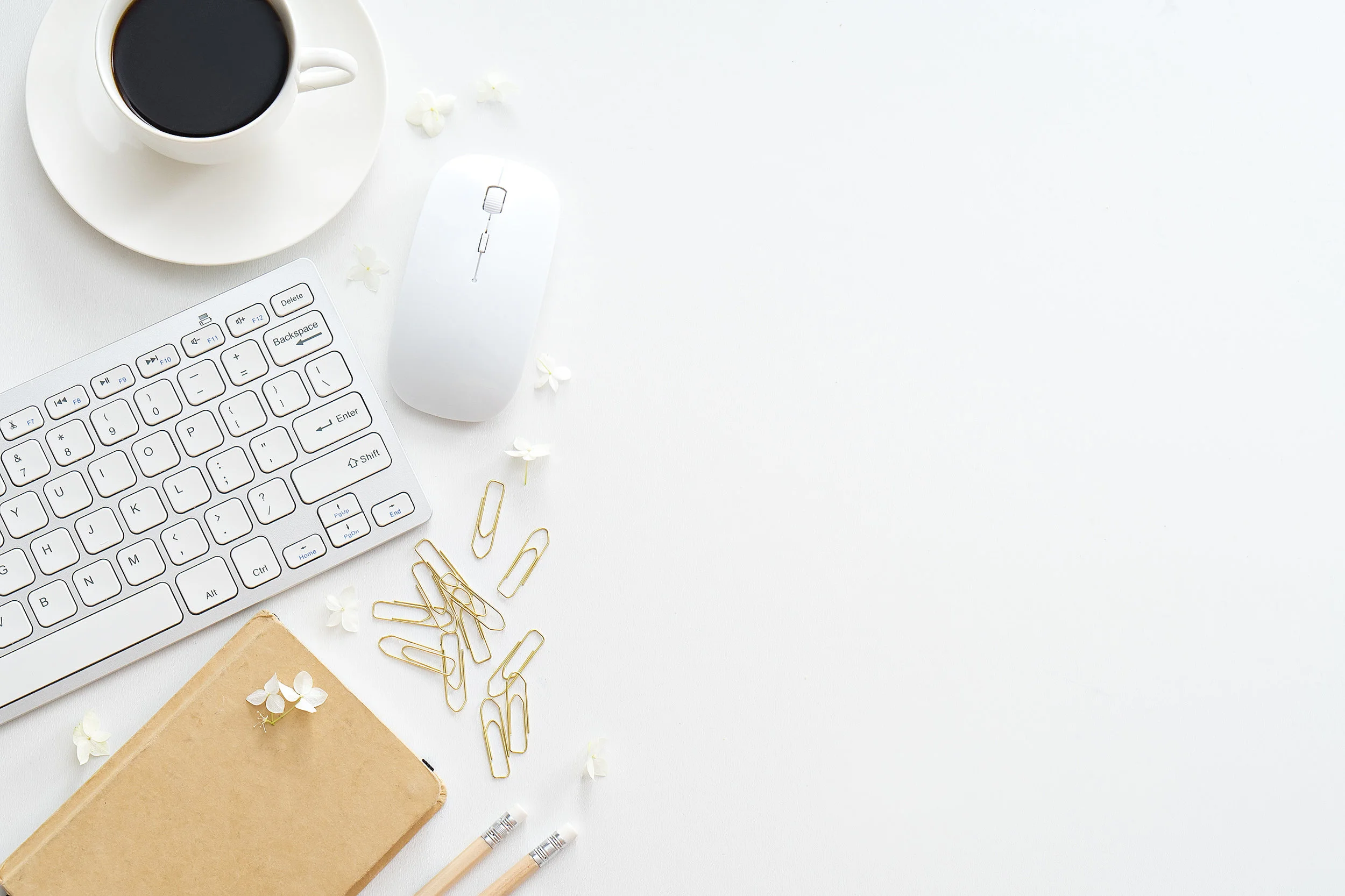 AdobeStock_115782782.jpeg