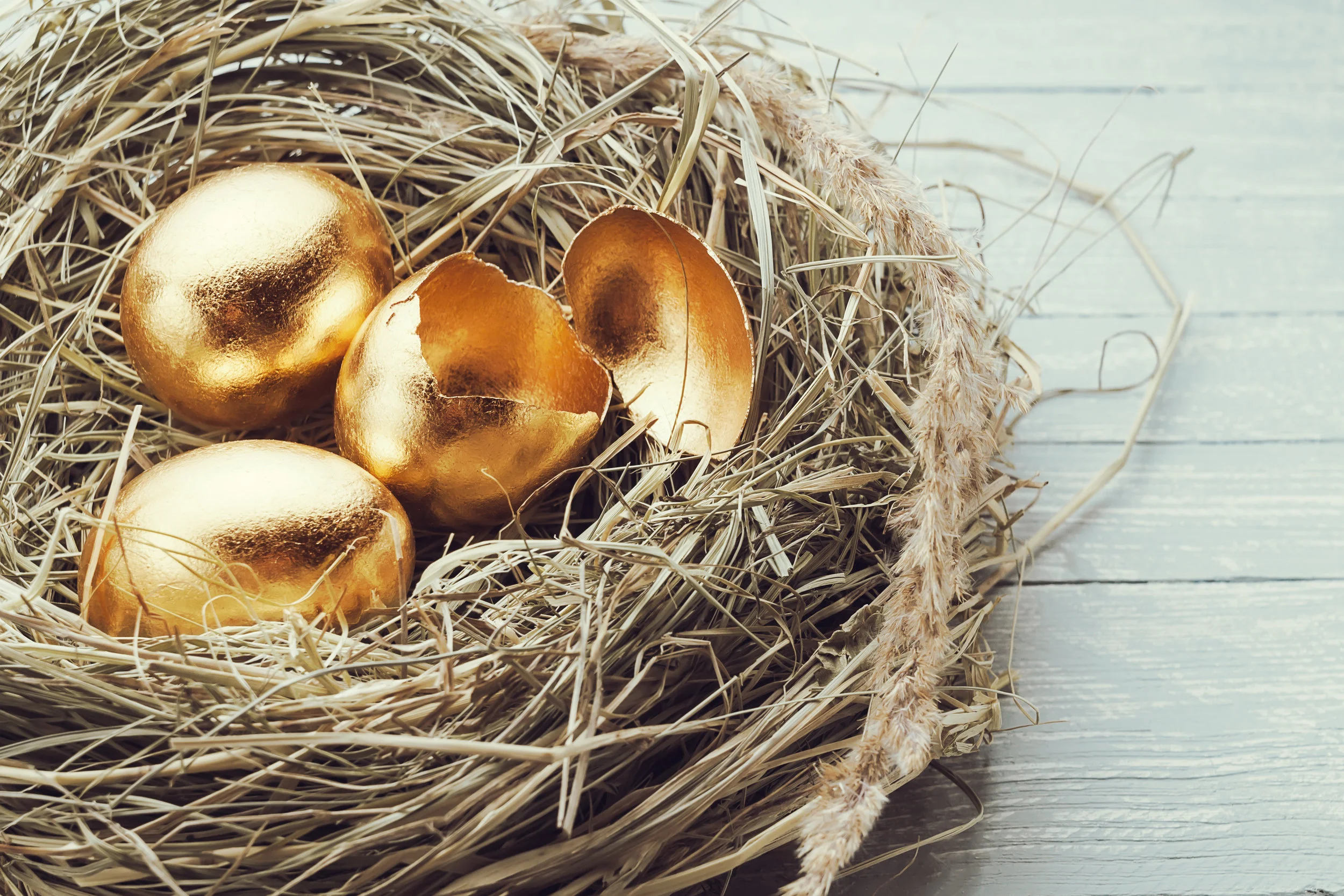 Look After Your Nest Egg