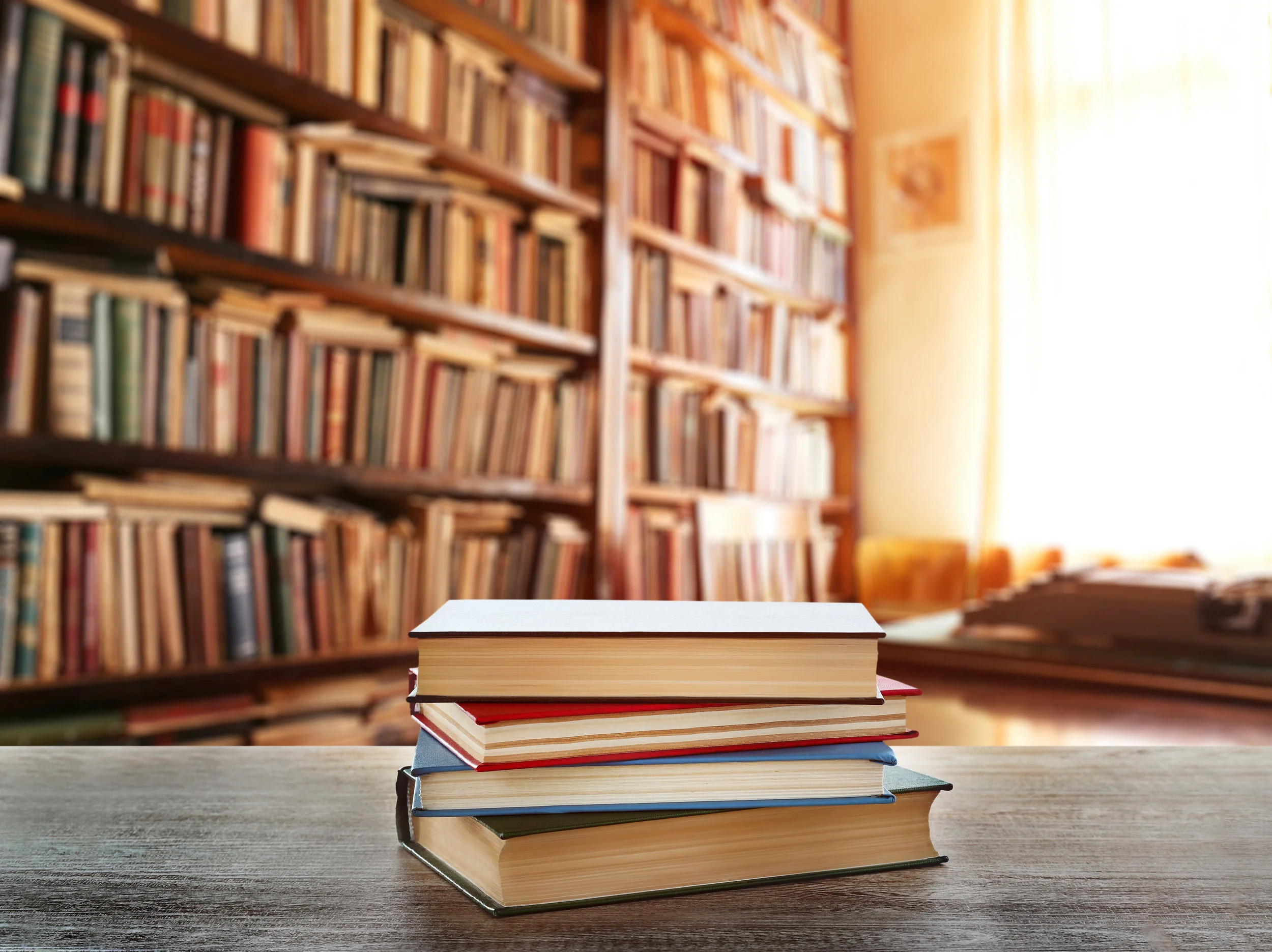 Our Top Must-Reads for Business and Mindset