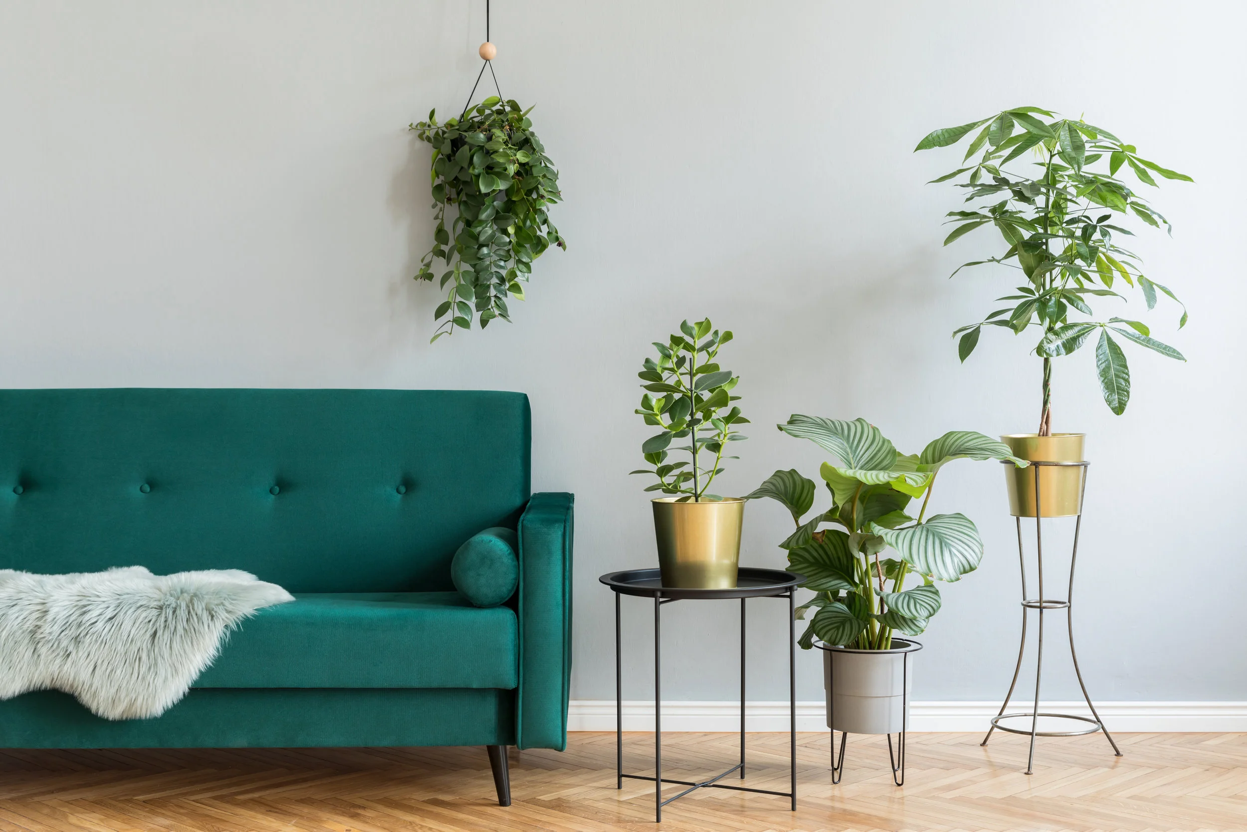 Accounting for Interior Designers