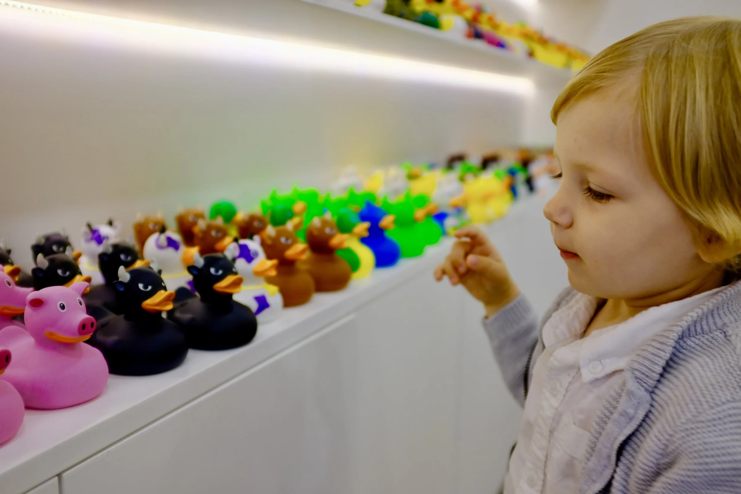 Seville Duck Store, Spain – Favorite Finds