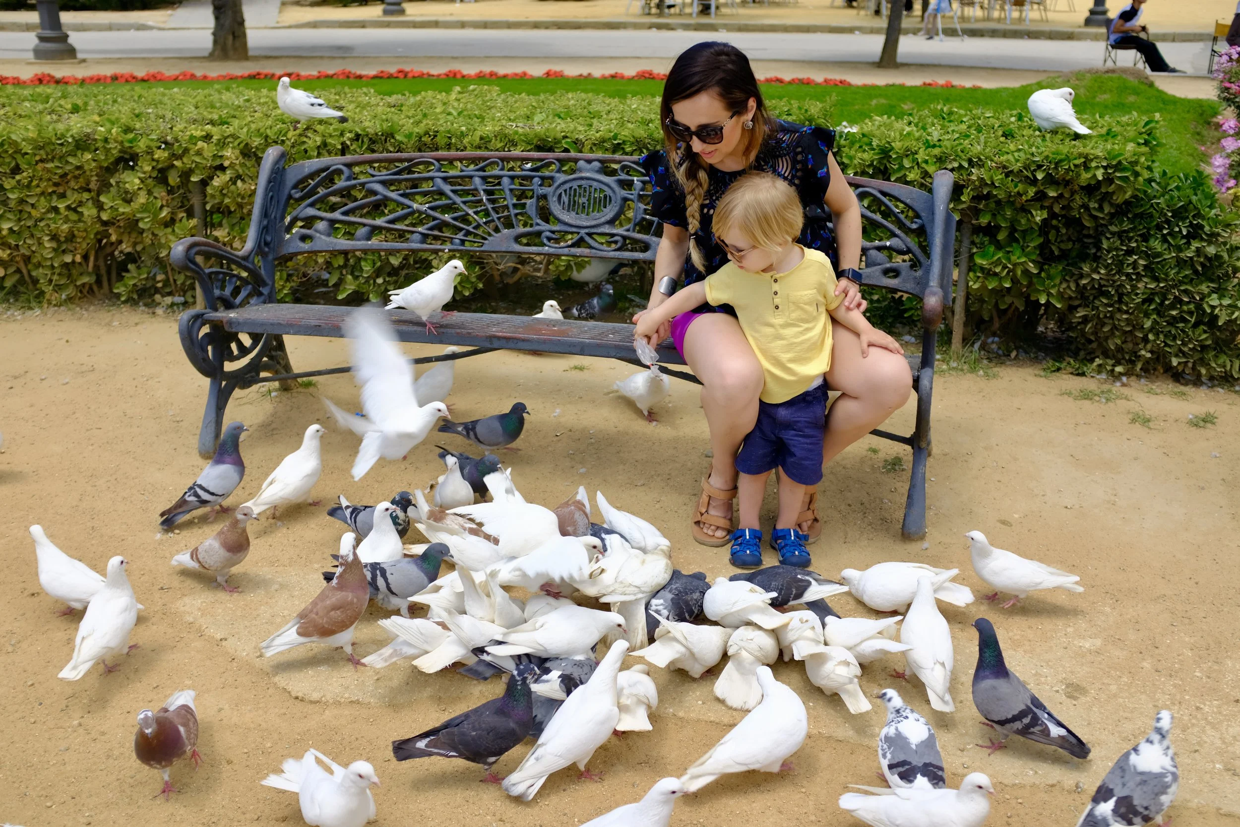Plaza de America – The Pigeon Park in Seville, Spain  