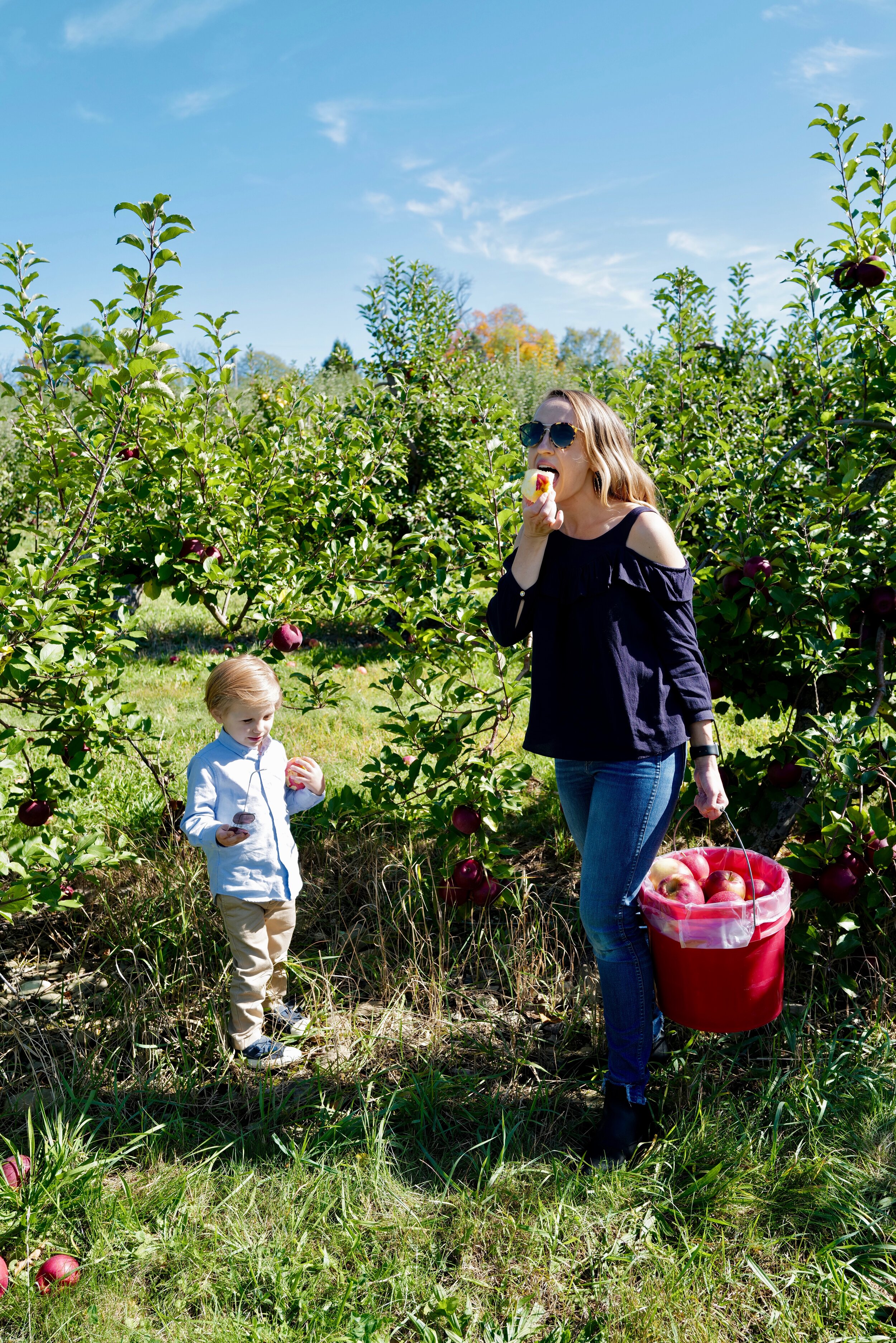 Organic Apple Orchards - Forks in the Dirt Finding your fall family outing